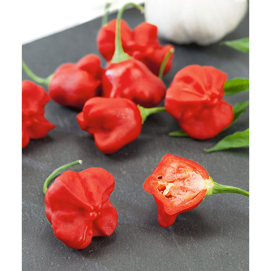 Jamaican Hot Red Pepper Seeds