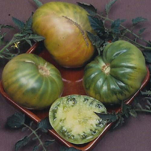 Aunt Ruby's German Green Tomato Seeds
