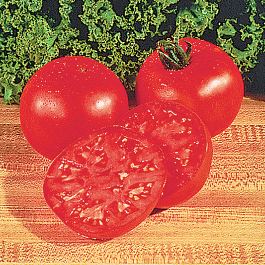 Burpee’s Big Boy F1 Hybrid Tomato Seeds