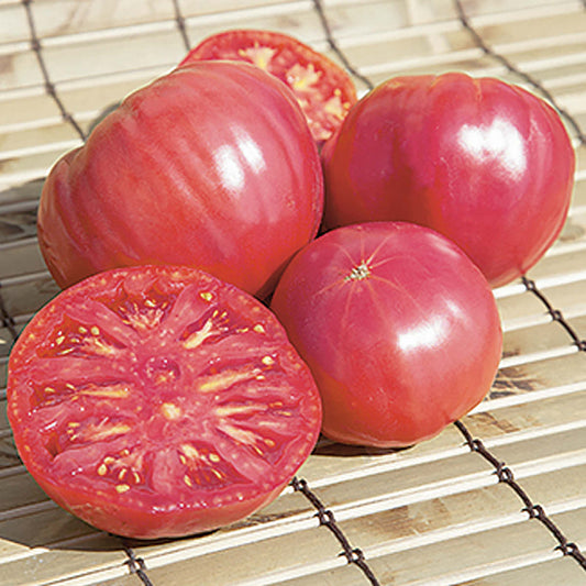 Brandywine Pink Tomato Seeds