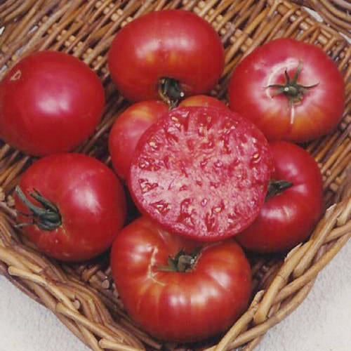 Mortgage Lifter Tomato Seeds