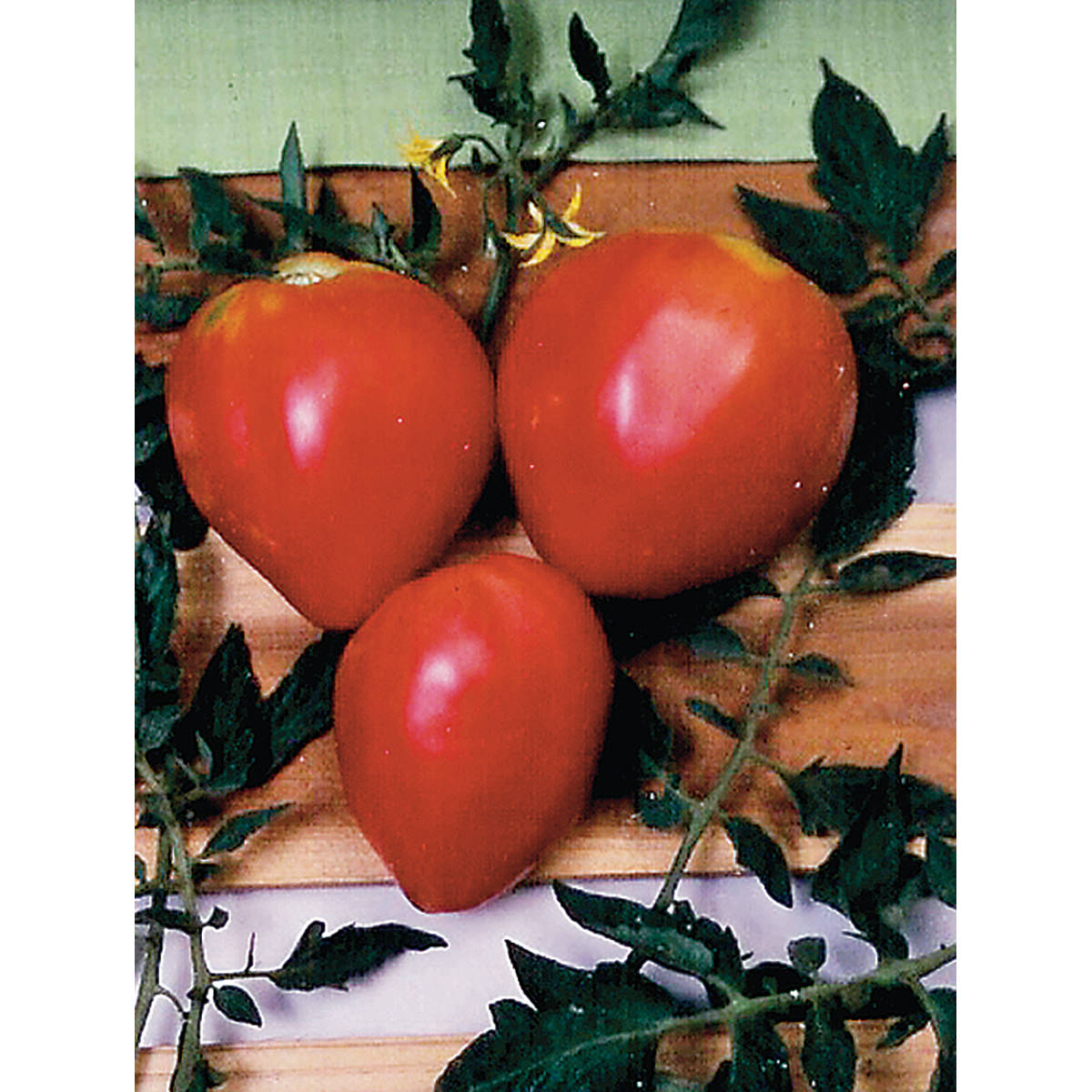 Oxheart Pink Tomato Seeds
