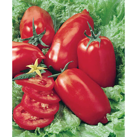 Certified Organic Roma Tomato Seeds