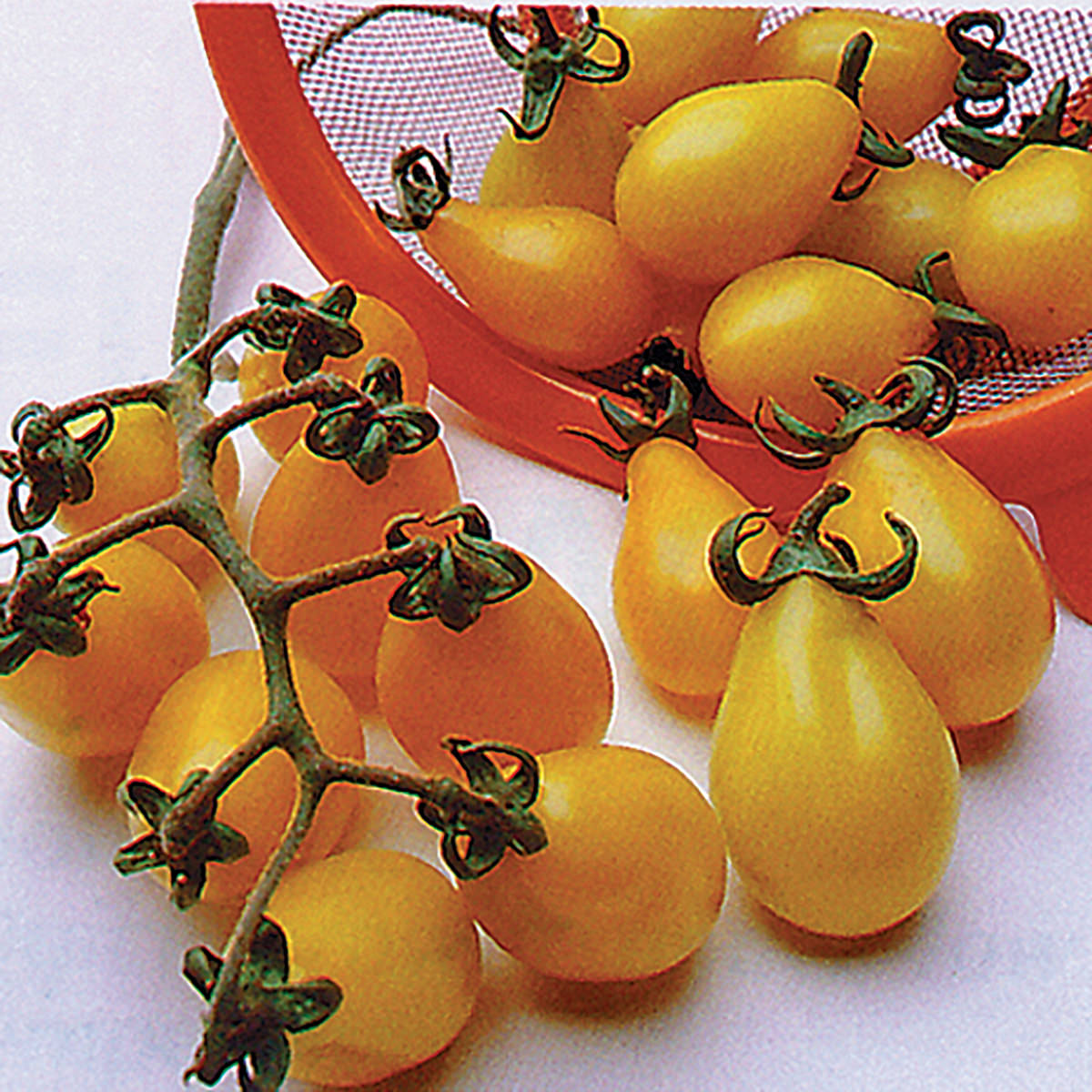 Yellow Pear Tomato Seeds