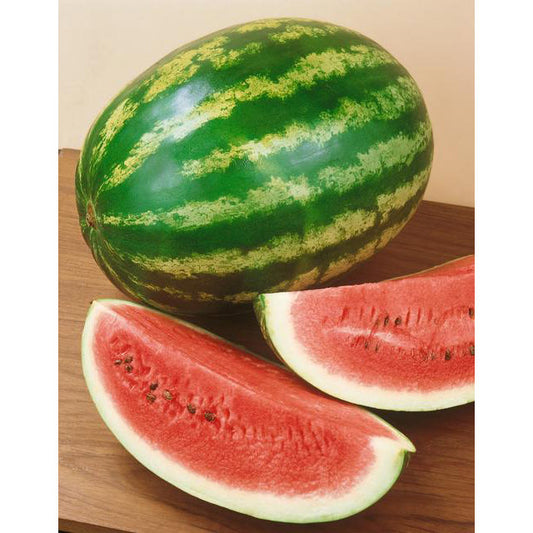 Crimson Sweet Watermelon Seeds