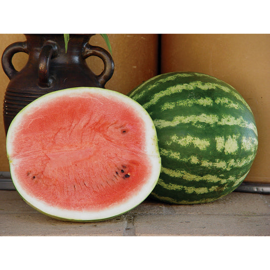 Amiga F1 Hybrid Watermelon Seeds