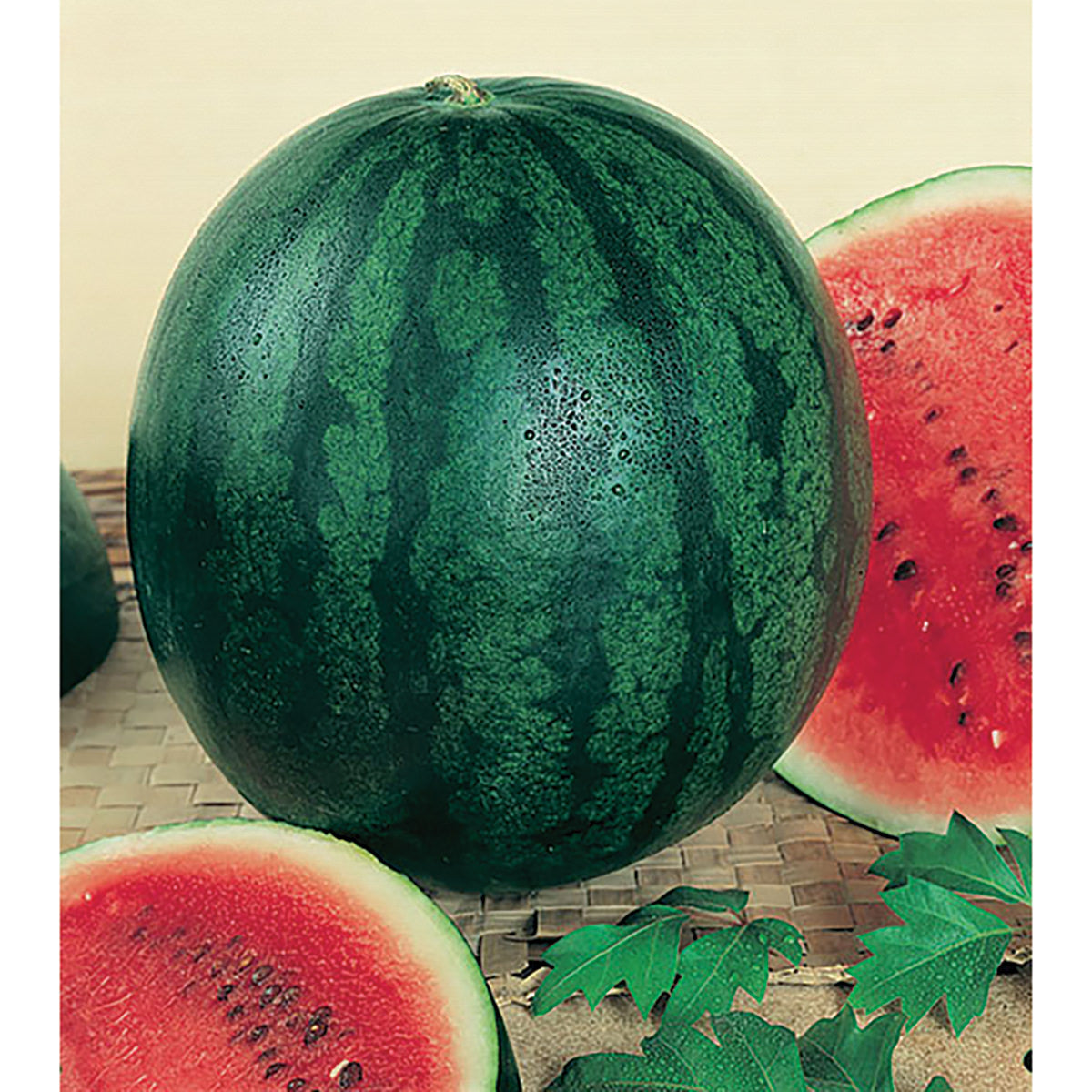 Certified Organic Sugar Baby Watermelon Seeds