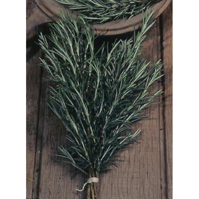 Rosemary Seeds