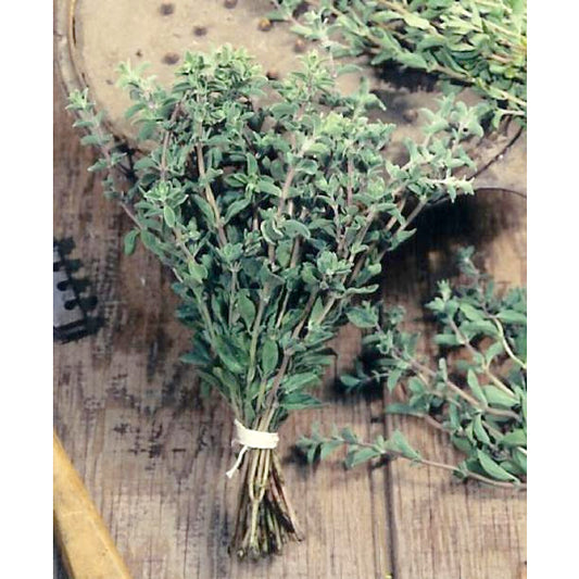 Sweet Marjoram Seeds