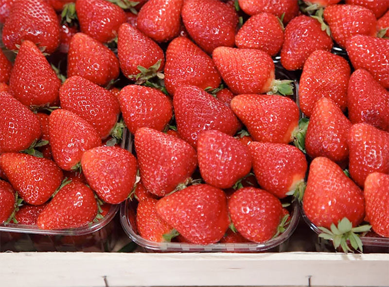 Formosa Strawberry Seeds