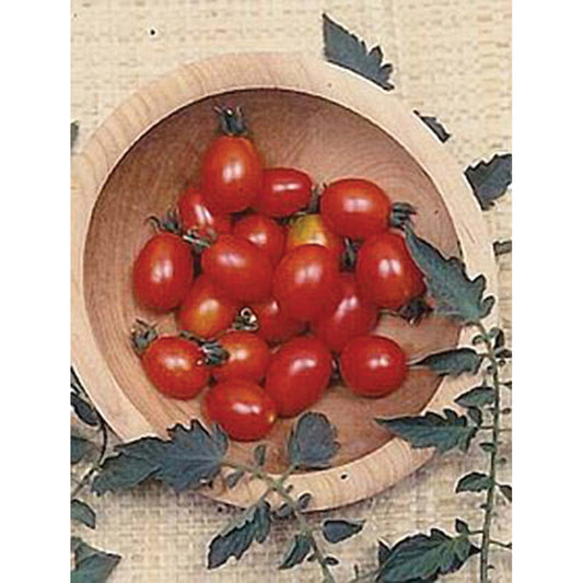 Principe Borghese Grape Tomato Seeds