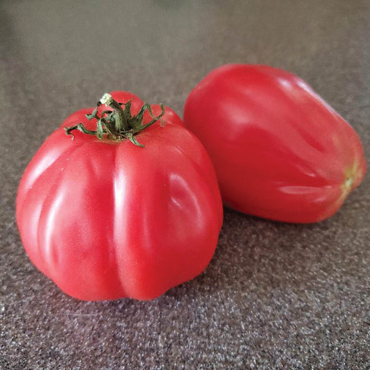 Cuor Di Albenga Tomato Seeds