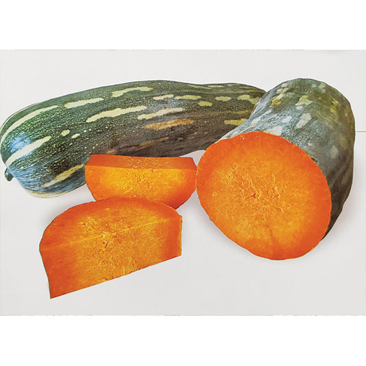 Lunga di Napoli Pumpkin Seeds