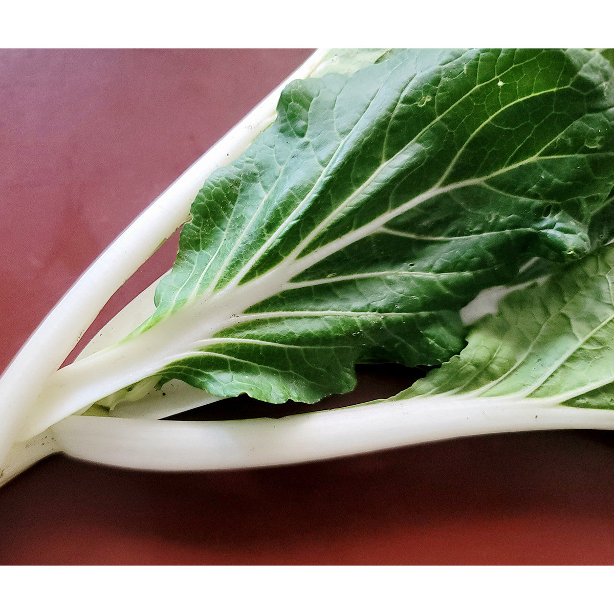 Certified Organic White Stem Pak Choi Cabbage Seeds