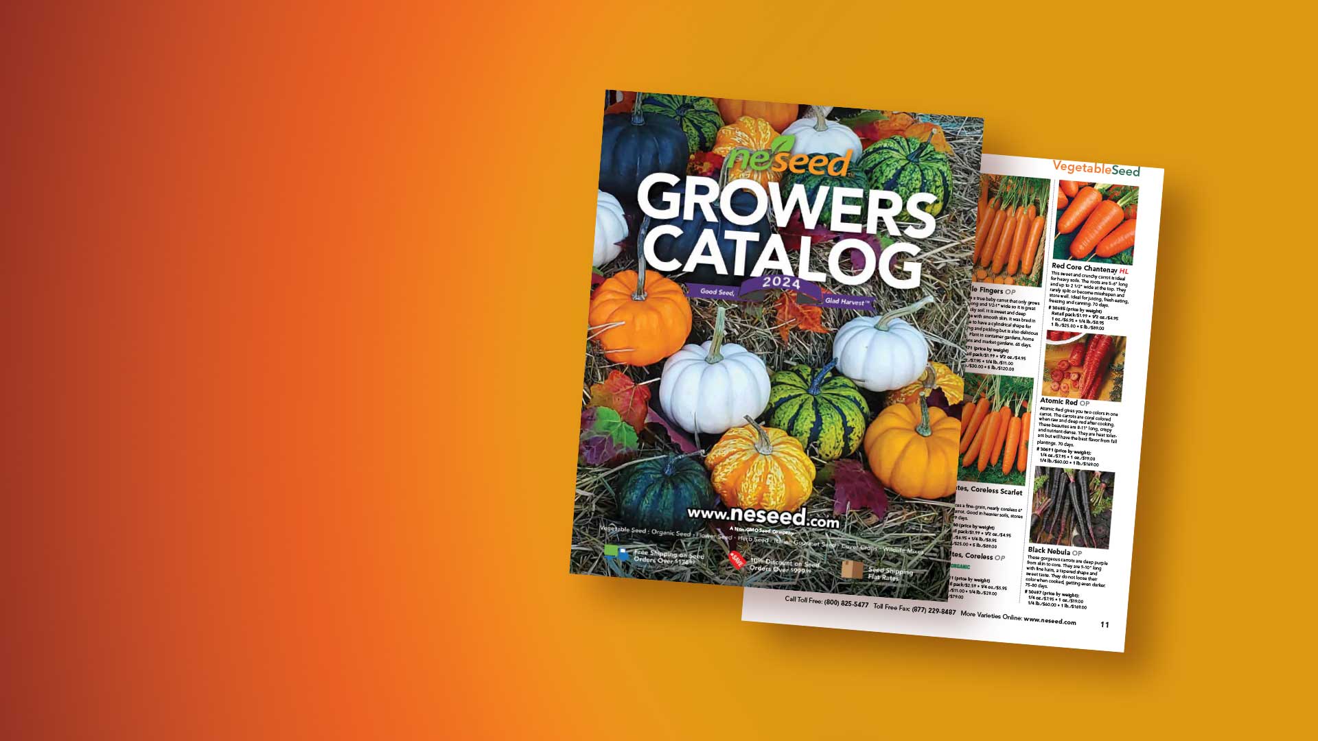 Commercial Seeds in Bulk & Packets for Professional and Garden Growers