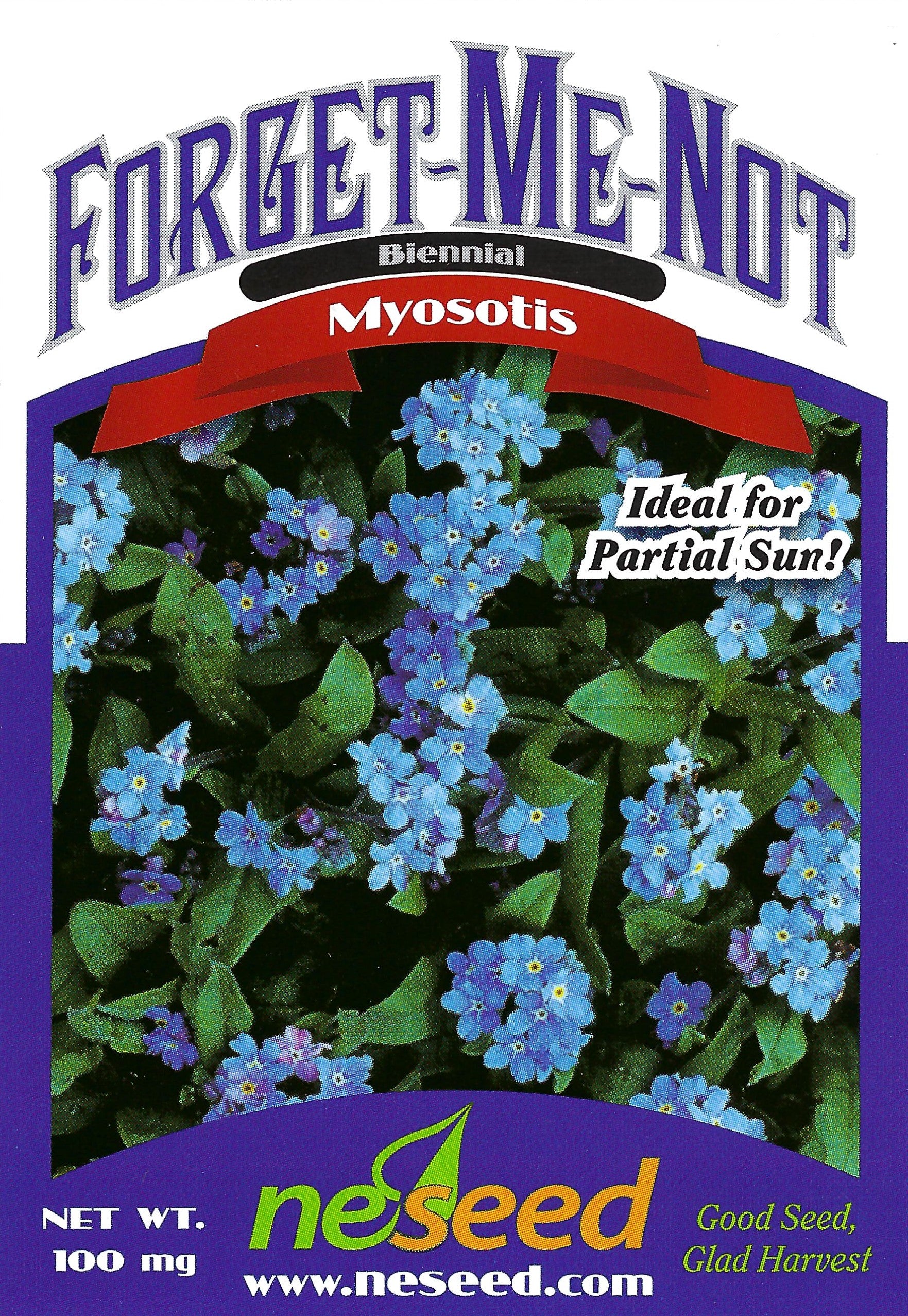 blue flower seeds suikoden Forget-Me-Not Indigo Blue Seeds