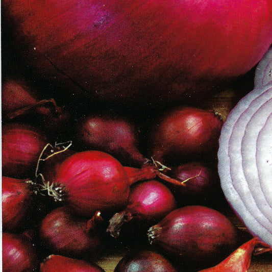 Onion Sets RED 100 bulb bag