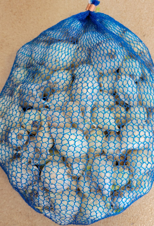 Onion Sets WHITE 100 bulb bag