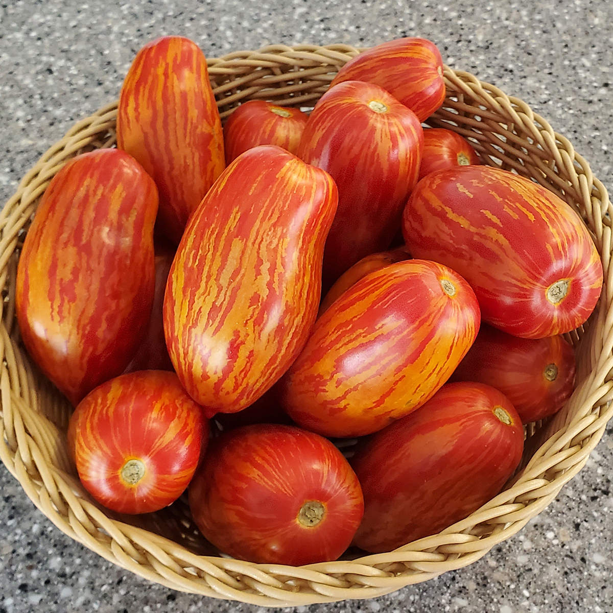 Speckled Roman Tomato Seeds certified organic