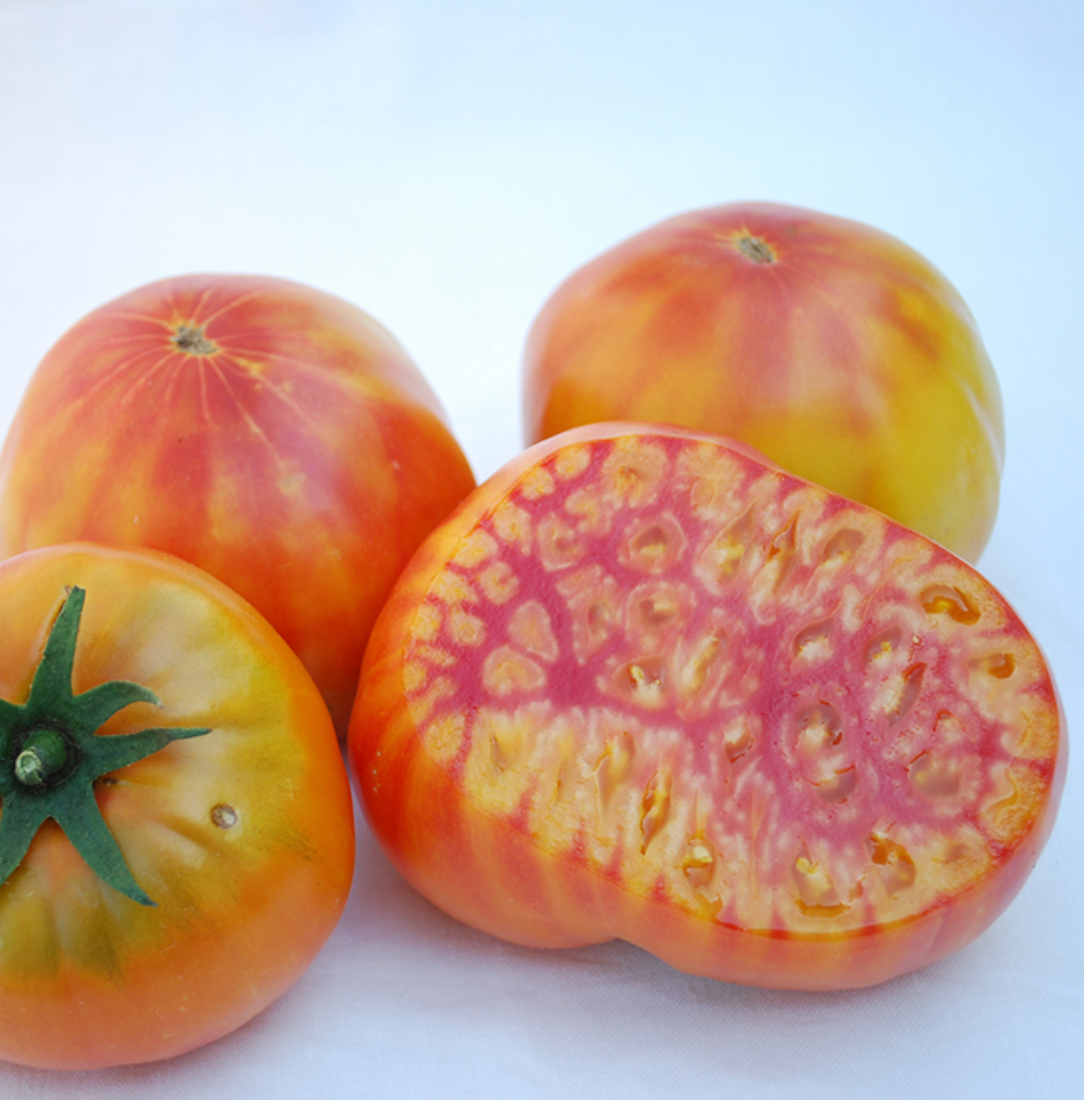 Mr. Stripey Tomato Organic