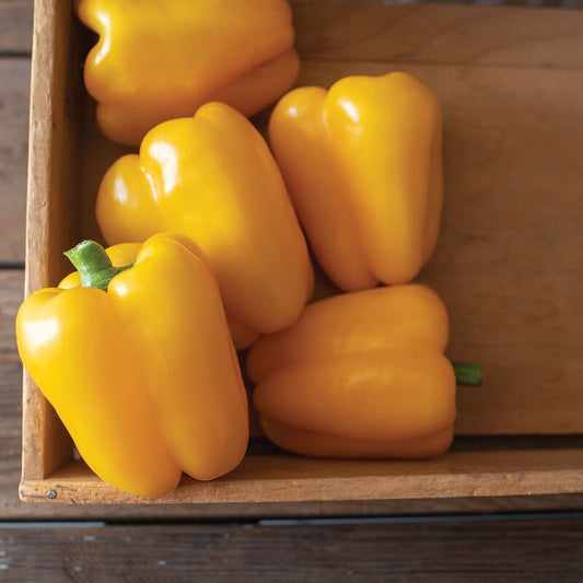 Golden Cal Wonder Sweet (Bell) Type Pepper Seeds