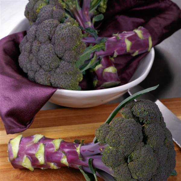 Purple Magic Broccoli Seeds