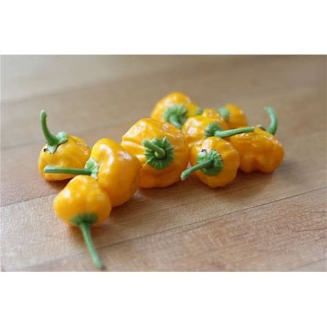 Jamaican Hot Yellow Pepper Seeds