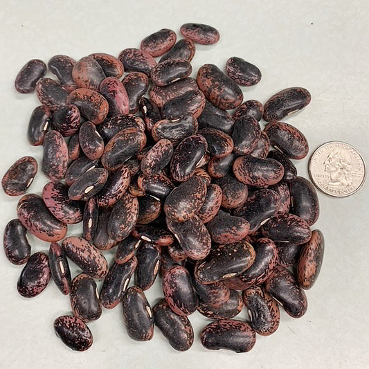 Scarlet Emperor Runner Bean Seeds