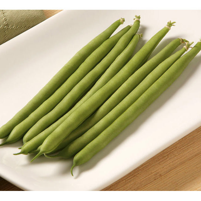 Jade Green Bush Bean Seeds