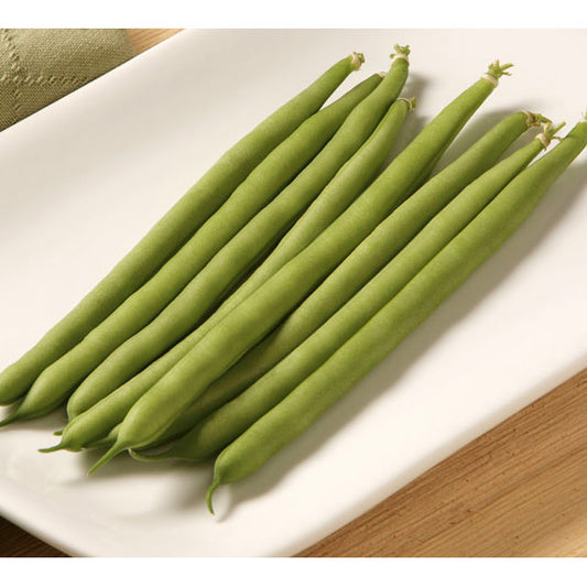 Jade Green Bush Bean Seeds