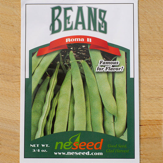 Roma II Green Bush Bean Seeds