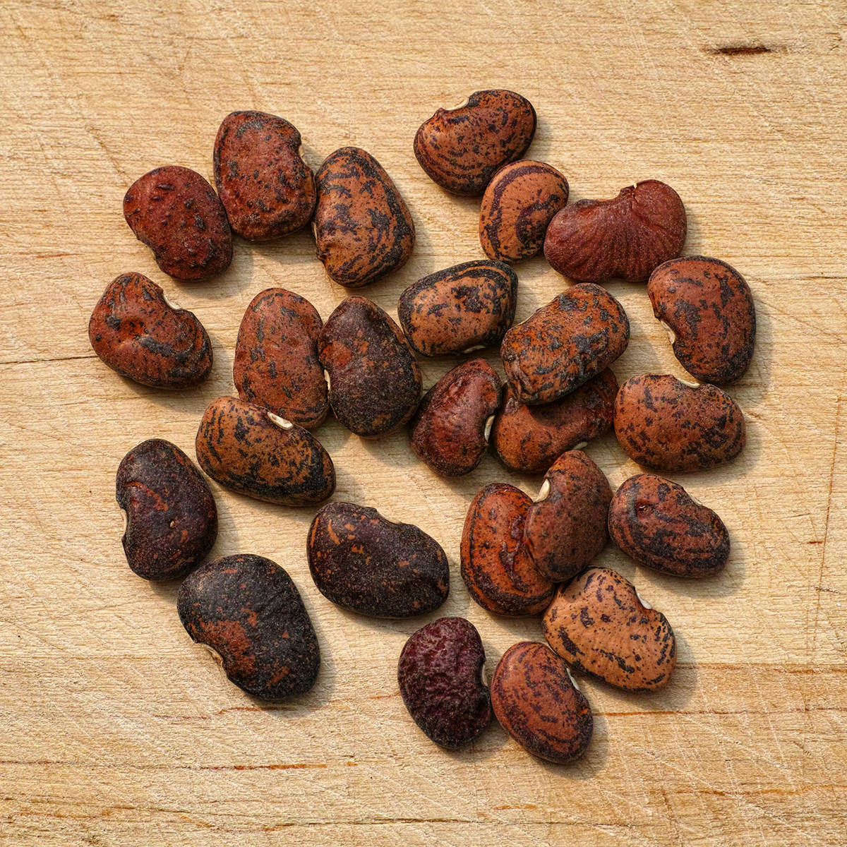 Jackson Wonder Butterbean Lima Bean Seeds
