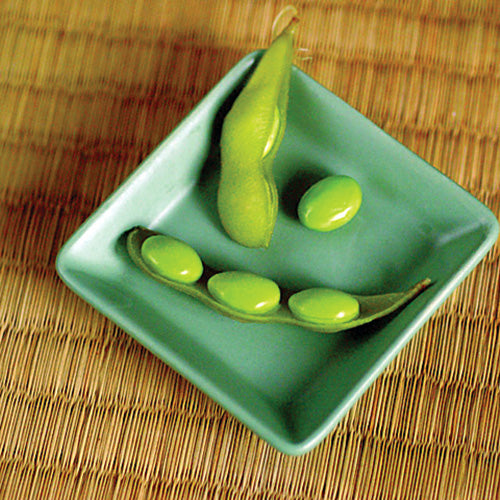 Certified Organic Midori Giant Edamame Seeds (Soybean)